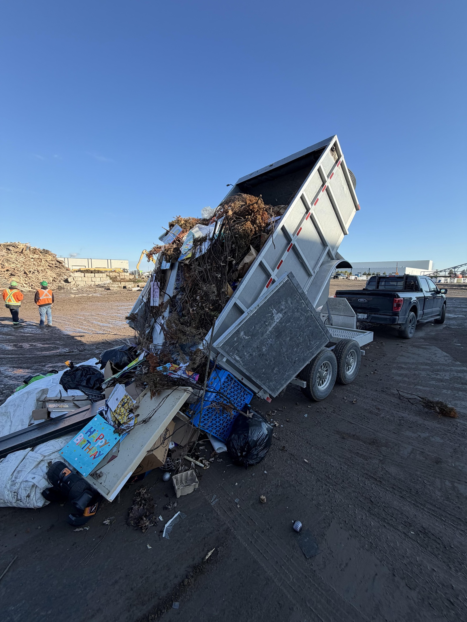 12 Yard Bin Hamilton