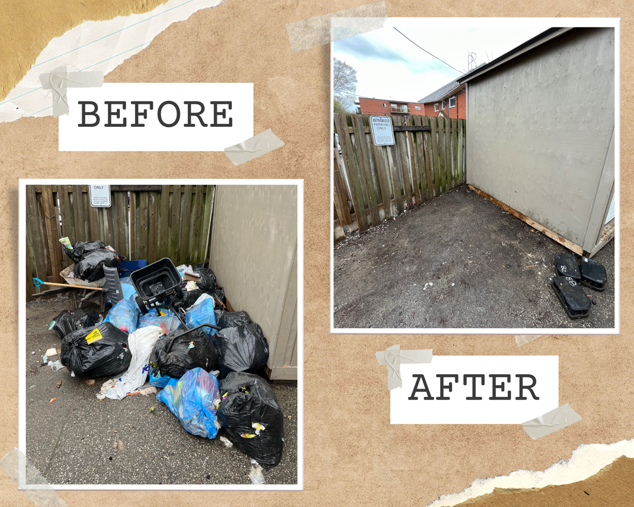 Yard Waste Cleanup